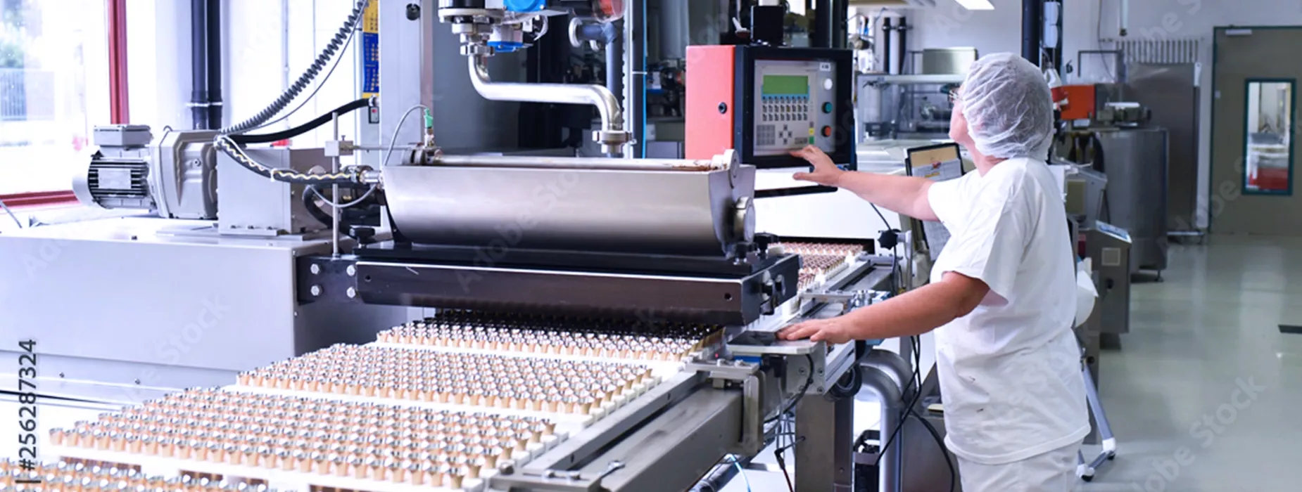 Lebensmittelindustrie
